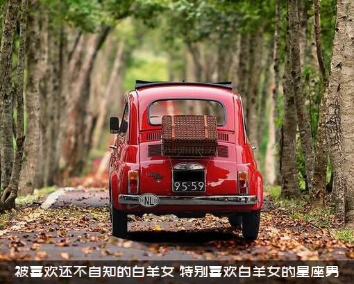 被喜欢还不自知的白羊女（特别喜欢白羊女的星座男）