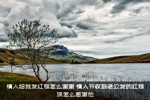情人给我发红包怎么谢谢（情人节收到老公发的红包该怎么感谢他）