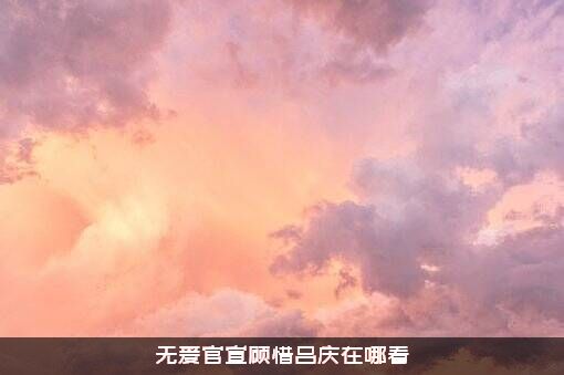 无爱官宣顾惜吕庆在哪看