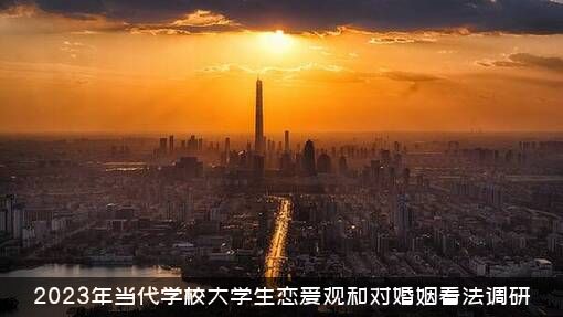 2023年当代学校大学生恋爱观和对婚姻看法调研