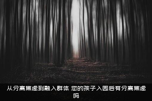从分离焦虑到融入群体（您的孩子入园后有分离焦虑吗）