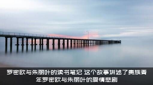 罗密欧与朱丽叶的读书笔记，这个故事讲述了贵族青年罗密欧与朱丽叶的爱情悲剧