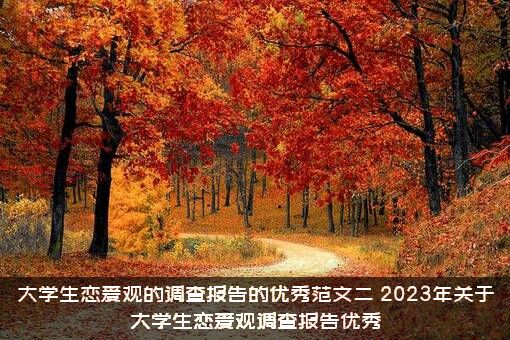 大学生恋爱观的调查报告的优秀范文二（2023年关于大学生恋爱观调查报告优秀）