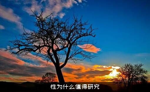 性为什么值得研究