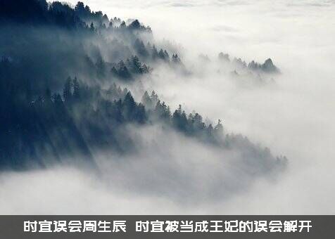时宜误会周生辰（漼时宜被当成王妃的误会解开）