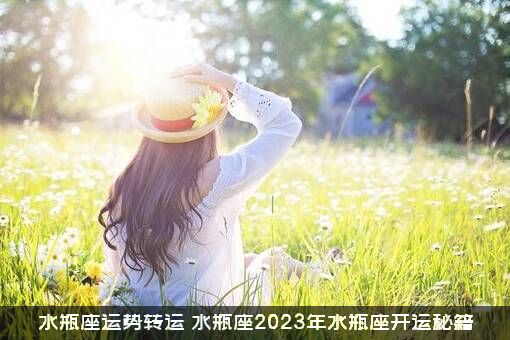 水瓶座运势转运（水瓶座2023年水瓶座开运秘籍）