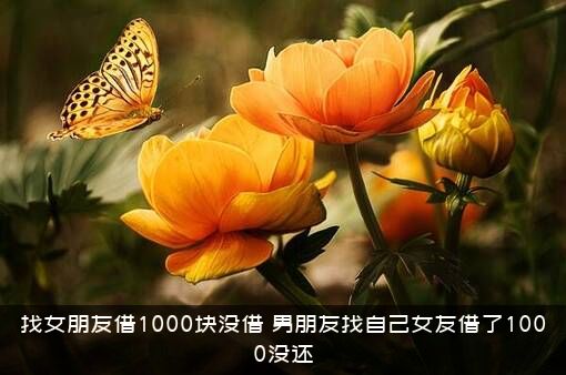 找女朋友借1000块没借（男朋友找自己女友借了1000没还）