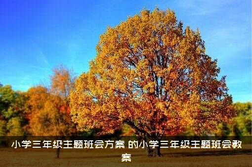 小学三年级主题班会方案（的小学三年级主题班会教案）