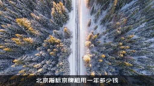 北京指标京牌租用一年多少钱