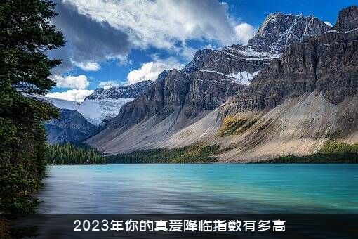2023年你的真爱降临指数有多高