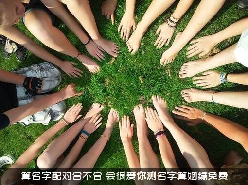算名字配对合不合（会很爱你测名字算姻缘免费）