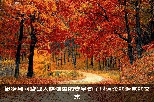 能给到回避型人格满满的安全句子很温柔的治愈的文案