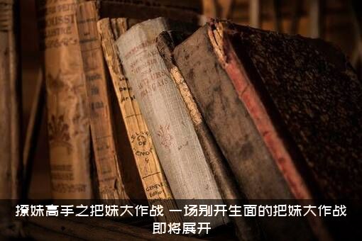 撩妹高手之把妹大作战（一场别开生面的把妹大作战即将展开）