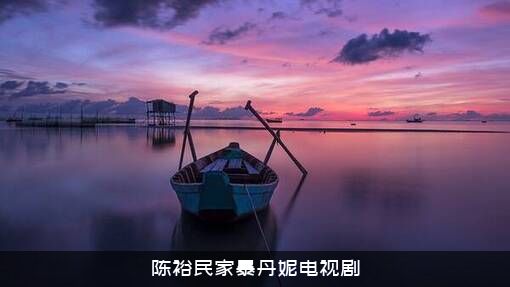 陈裕民家暴丹妮电视剧
