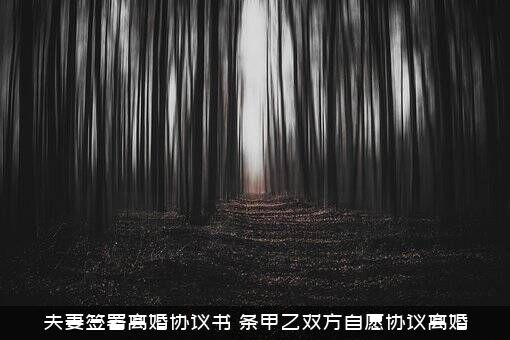 夫妻签署离婚协议书（条甲乙双方自愿协议离婚）