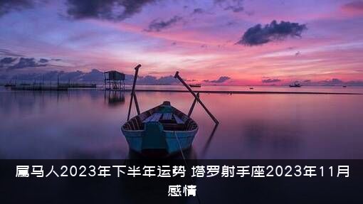 属马人2023年下半年运势（塔罗射手座2023年11月感情）