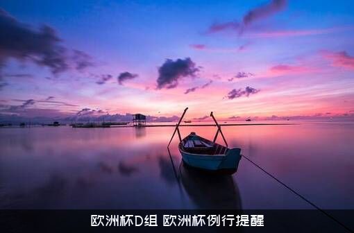 欧洲杯D组（欧洲杯例行提醒）
