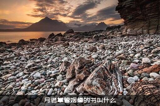 月老掌管姻缘的书叫什么