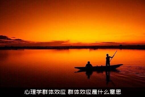 心理学群体效应（群体效应是什么意思）