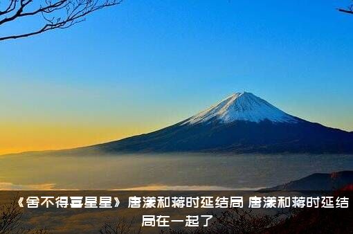 《舍不得喜星星》唐漾和蒋时延结局，唐漾和蒋时延结局在一起了