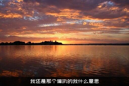 我还是那个偏执的我什么意思？