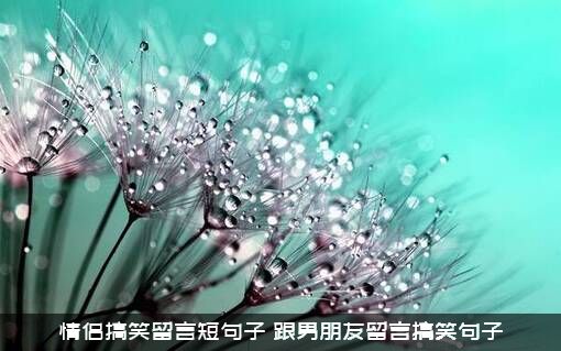 情侣搞笑留言短句子（跟男朋友留言搞笑句子）