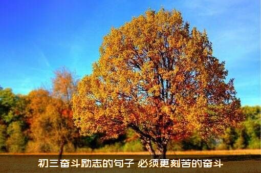 初三奋斗励志的句子（必须更刻苦的奋斗）