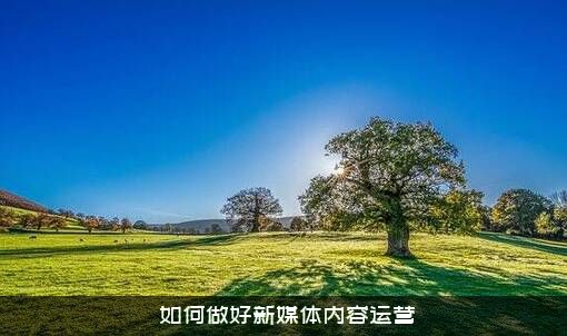 ﻿如何做好新媒体内容运营？