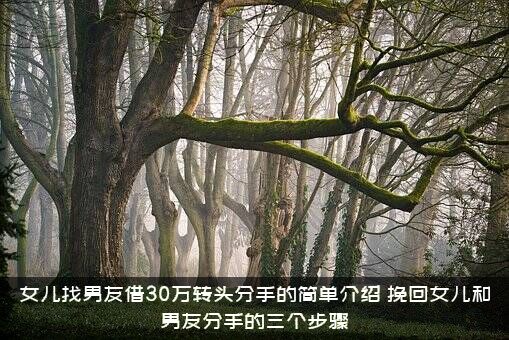 女儿找男友借30万转头分手的简单介绍，挽回女儿和男友分手的三个步骤
