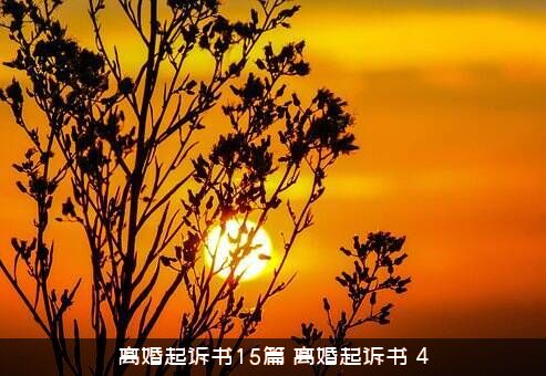 离婚起诉书15篇（离婚起诉书（4））