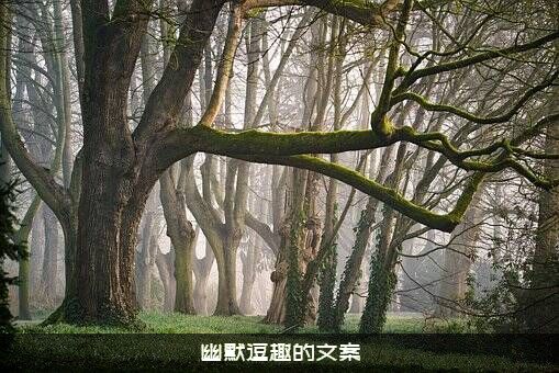 幽默逗趣的文案