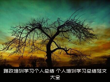 路政培训学习个人总结（个人培训学习总结范文大全）