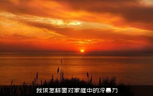 我该怎样面对家庭中的冷暴力？