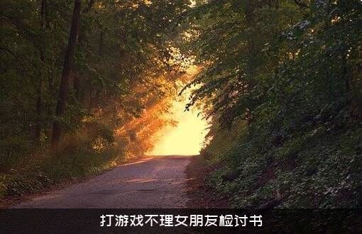 打游戏不理女朋友检讨书