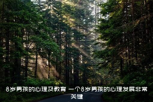 8岁男孩的心理及教育（一个8岁男孩的心理发展非常关键）