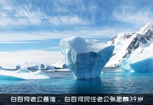 白百何老公是谁？、白百何现任老公张思麟39岁