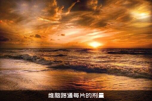 维脑路通每片的剂量