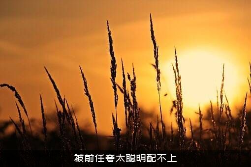 被前任夸太聪明配不上