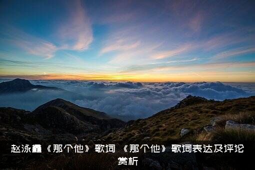 赵泳鑫《那个他》歌词？《那个他》歌词表达及评论赏析？
