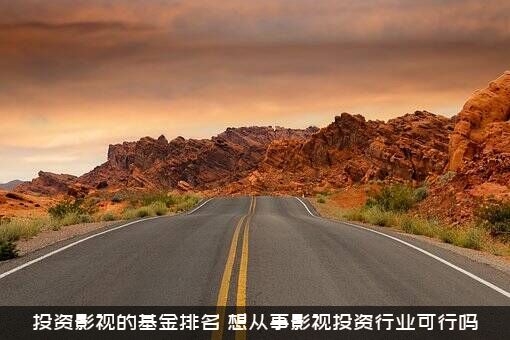 投资影视的基金排名，想从事影视投资行业可行吗？