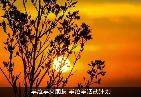手拉手交朋友（手拉手活动计划）