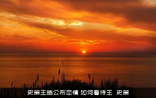 史策王皓公布恋情，如何看待王��史策？