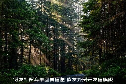 假发外贸弃单回复信息（假发外贸开发信模板）