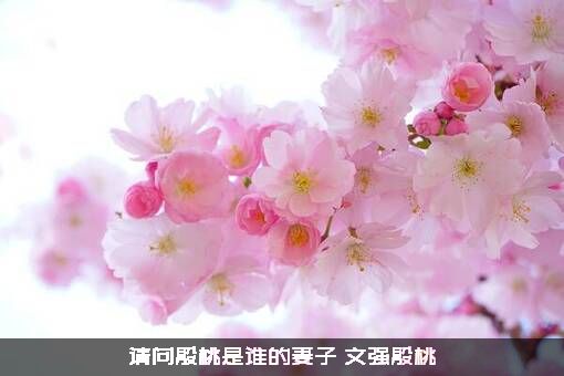 请问殷桃是谁的妻子（文强殷桃）