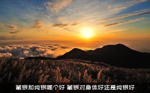 藏银和纯银哪个好？藏银对身体好还是纯银好