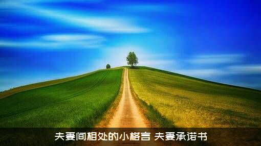 夫妻间相处的小格言（夫妻承诺书）