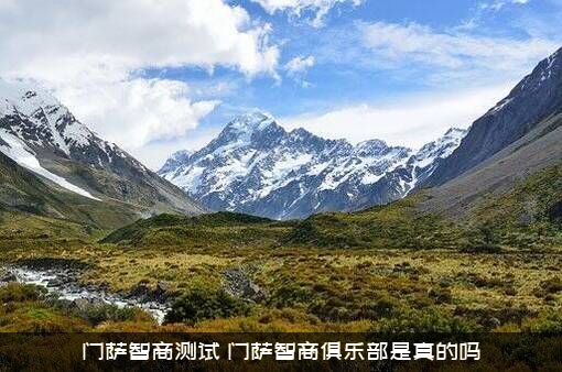 门萨智商测试（门萨智商俱乐部是真的吗）