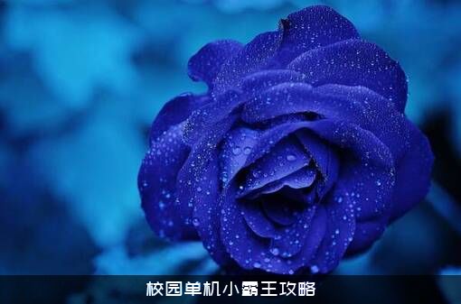 校园单机小霸王攻略