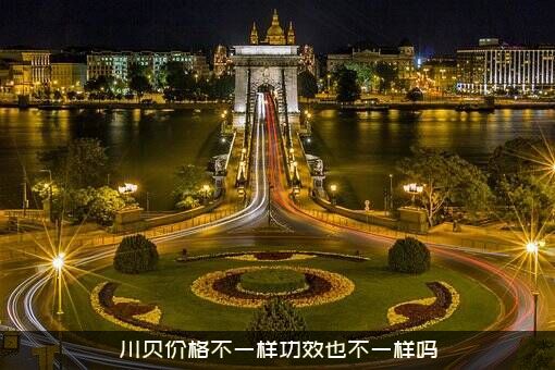 川贝价格不一样功效也不一样吗？