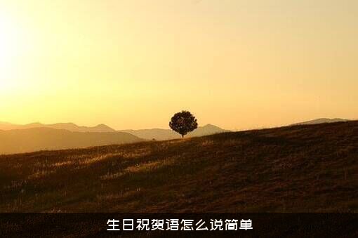 生日祝贺语怎么说简单？